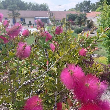 Lagalerne Bed & Breakfast Neuville-de-Poitou Luaran gambar