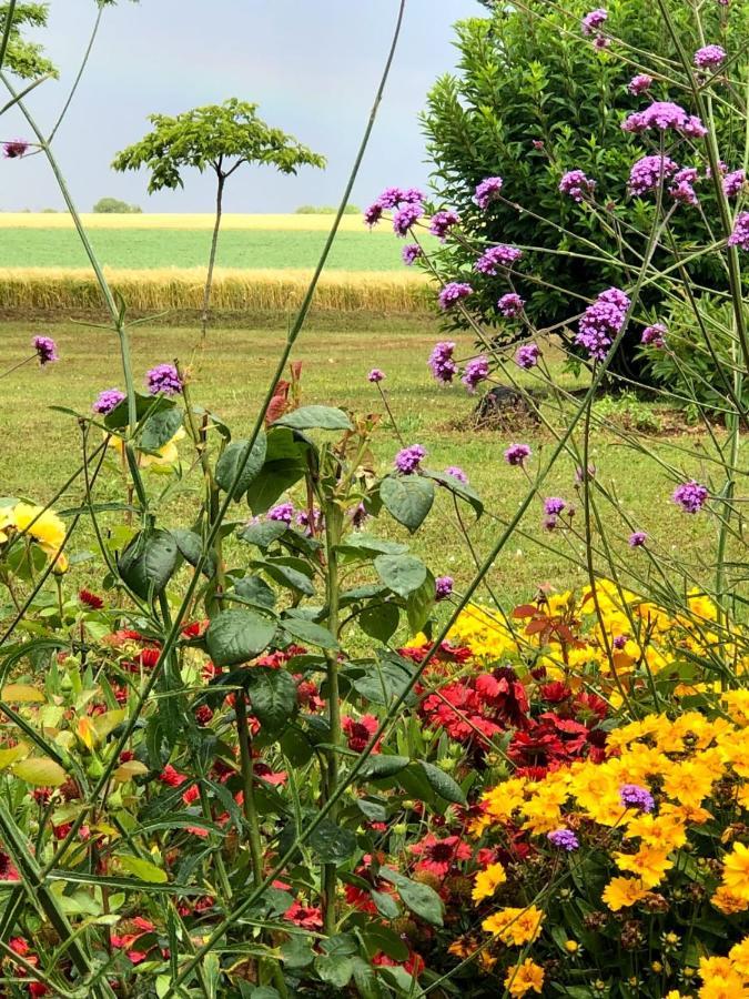 Lagalerne Bed & Breakfast Neuville-de-Poitou Luaran gambar