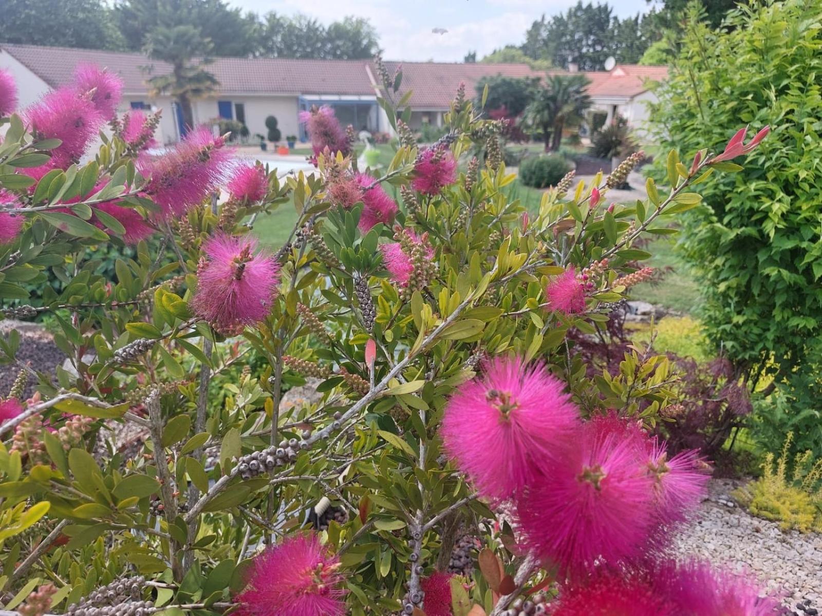 Lagalerne Bed & Breakfast Neuville-de-Poitou Luaran gambar