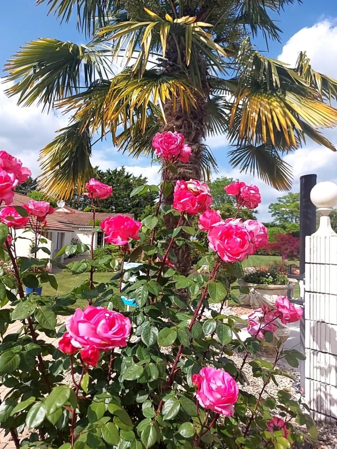 Lagalerne Bed & Breakfast Neuville-de-Poitou Luaran gambar